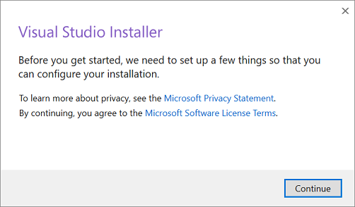 Microsoft License Terms and Privacy Statement Screenshot showing the Microsoft License Terms and Privacy Statement.