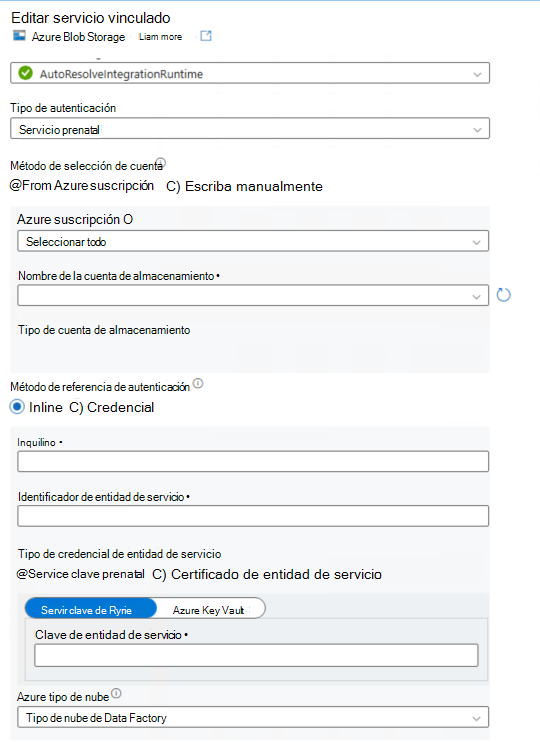 Captura de pantalla que muestra cómo escribir los campos del conjunto de datos.