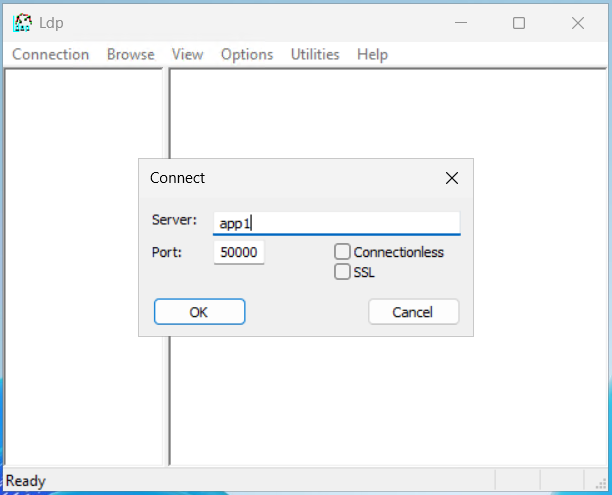 Captura de pantalla que muestra el cuadro de diálogo de conexión, incluido el nombre del servidor y el número de puerto.
