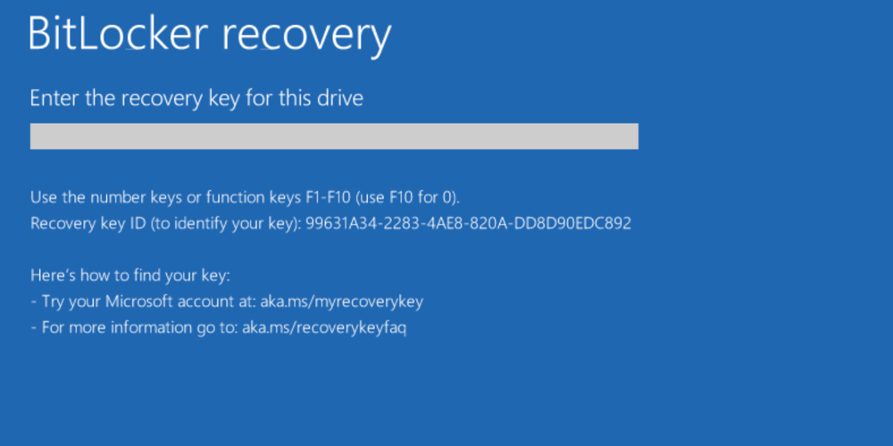 Ejemplo 3 de pantalla de recuperación de BitLocker personalizada.