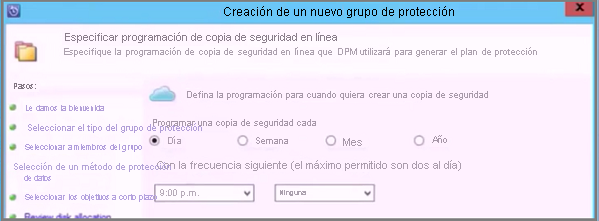 Captura de pantalla que muestra cómo especificar la programación de copia de seguridad en línea.