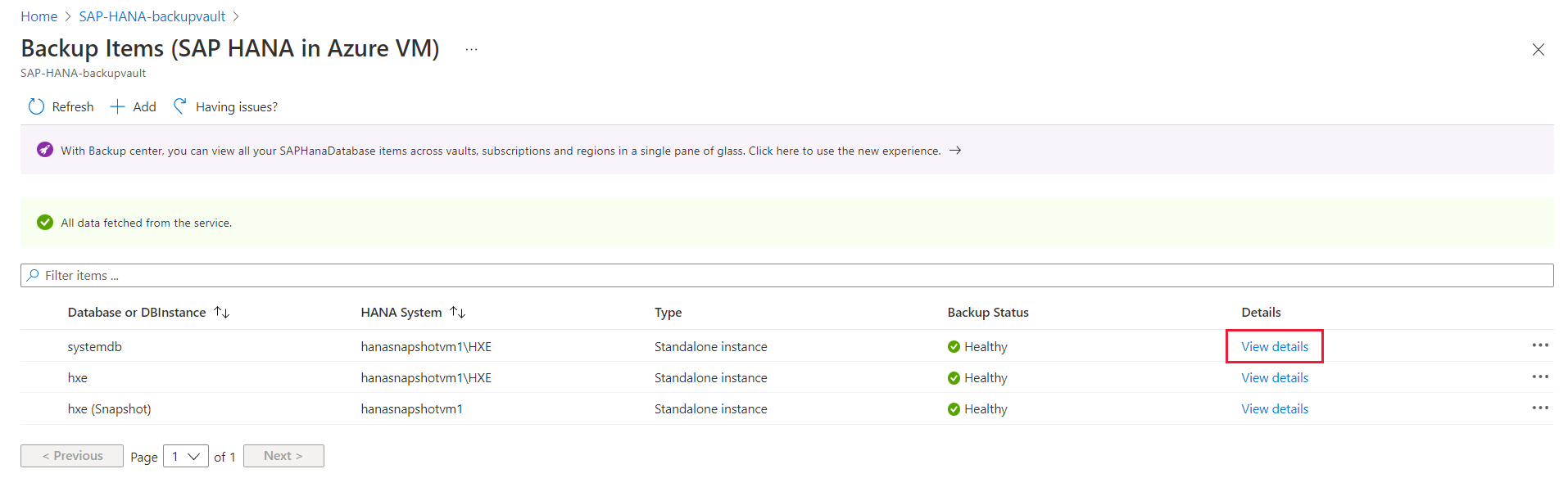 Screenshot that shows where to view details of the system database instance.