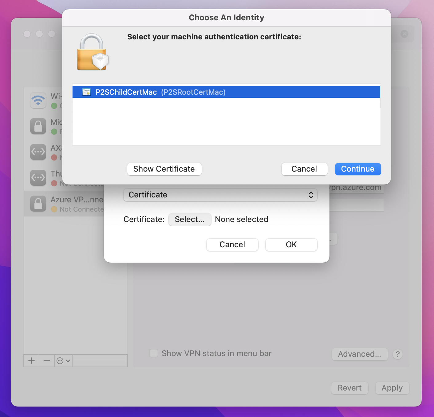 Captura de pantalla que muestra las propiedades del certificado.