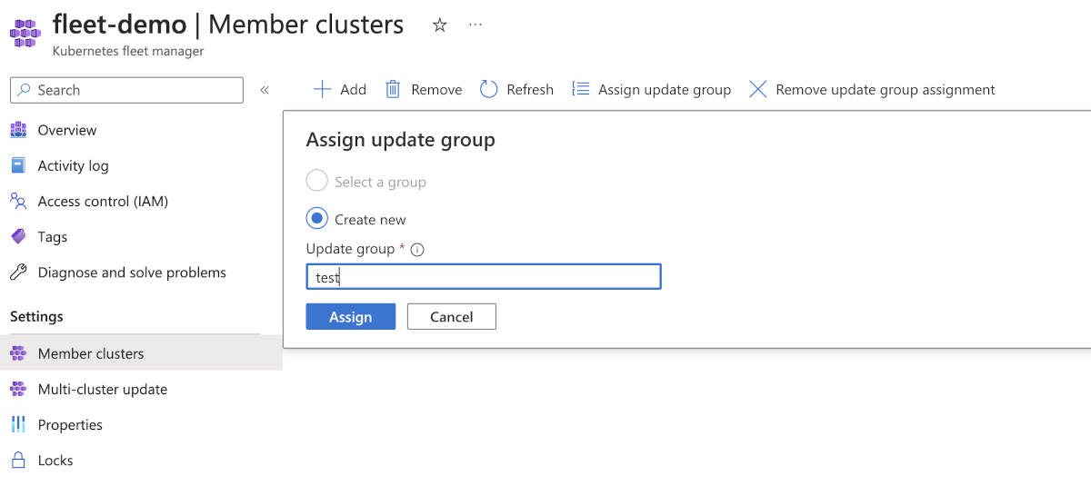 Captura de pantalla de la página de Azure Portal para los clústeres de miembros que muestra el formulario para actualizar el grupo de un clúster miembro.