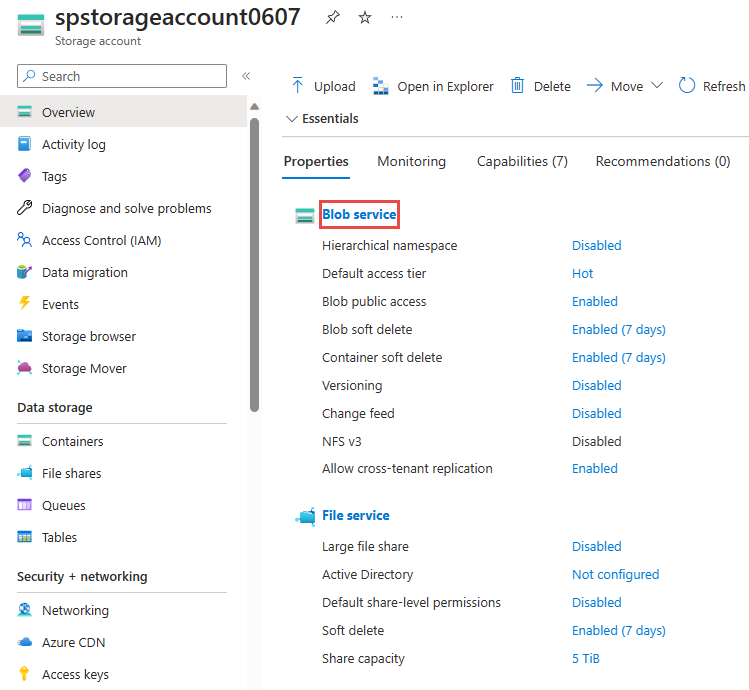 Captura de pantalla que muestra la página de Información general de la cuenta de almacenamiento con Blob service seleccionado.