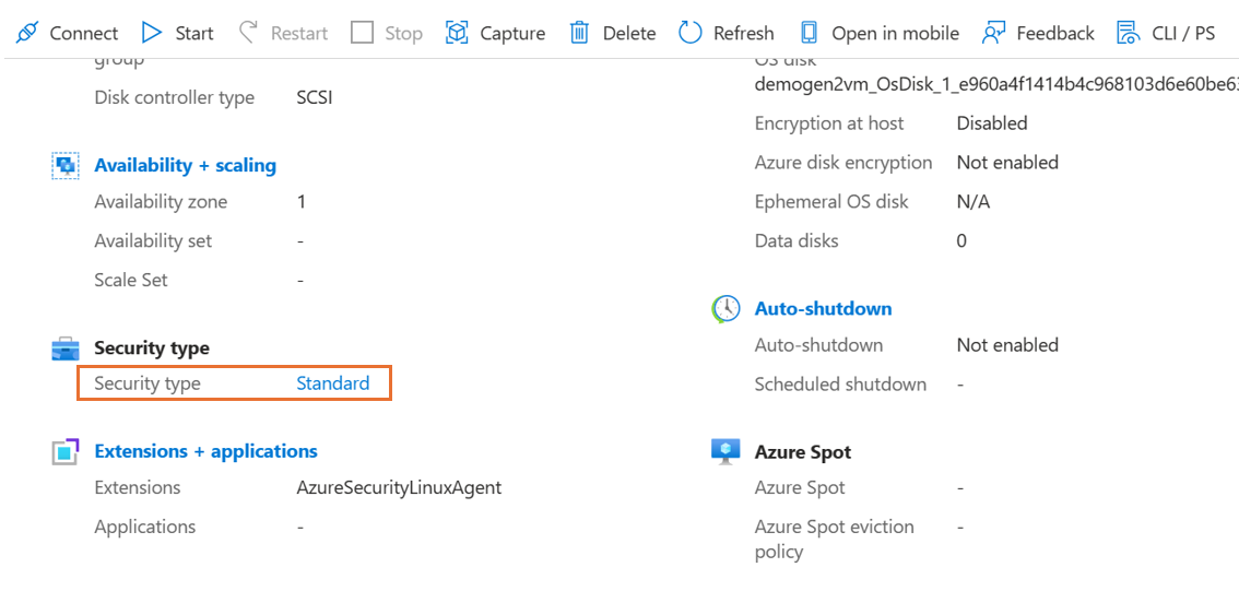 Screenshot of the Security type Standard.