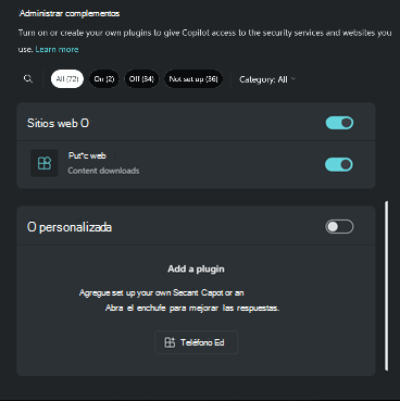 Captura de pantalla de la sección Personalizada del complemento.