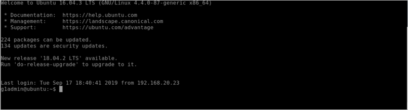 Captura de pantalla de una ventana de comandos para ssh-secure-go.akamai-access.com que muestra información sobre la aplicación y muestra un mensaje para los comandos.