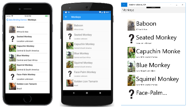 Enlace TargetNullValue Enlace TargetNullValue