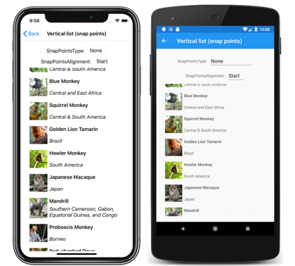 Lista vertical CollectionView sin puntos de acoplamiento Captura de pantalla de una lista vertical CollectionView sin puntos de acoplamiento, en iOS y Android