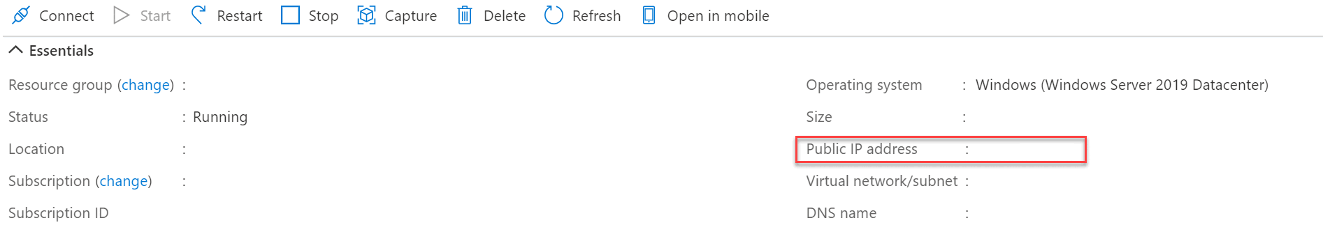 Captura de pantalla de la dirección IP pública.