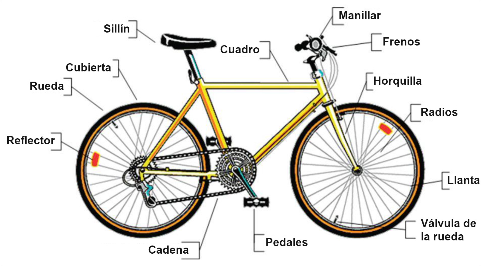 Diagrama que identifica los componentes de una bicicleta.