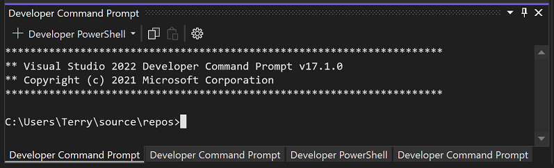 Captura de pantalla del panel del terminal de Visual Studio, en el que muestran varias pestañas.