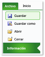 Pestaña Información en Excel Pestaña Información en Excel