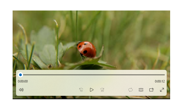 Una captura de pantalla de un elemento de reproductor multimedia con controles de transporte que está reproduciendo un vídeo de una mariquita