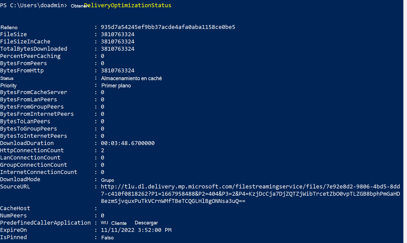 Windows 10 21H2 - Máquina 1 - Prueba avanzada.