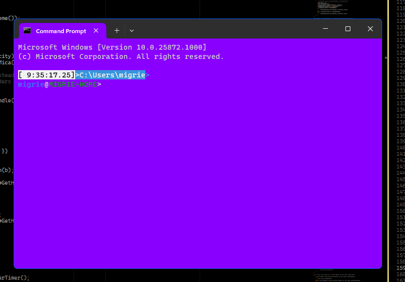 Terminal&nbsp;Windows con rainbowFrame habilitado