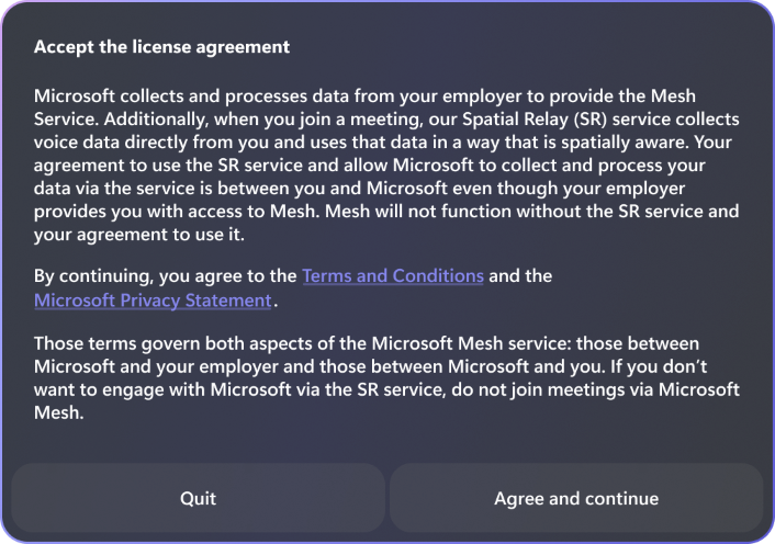 Screenshot of end user license agreement for Mesh and spatial audio.