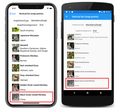 Screenshot of a CollectionView vertical list with end snap points, on iOS and Android