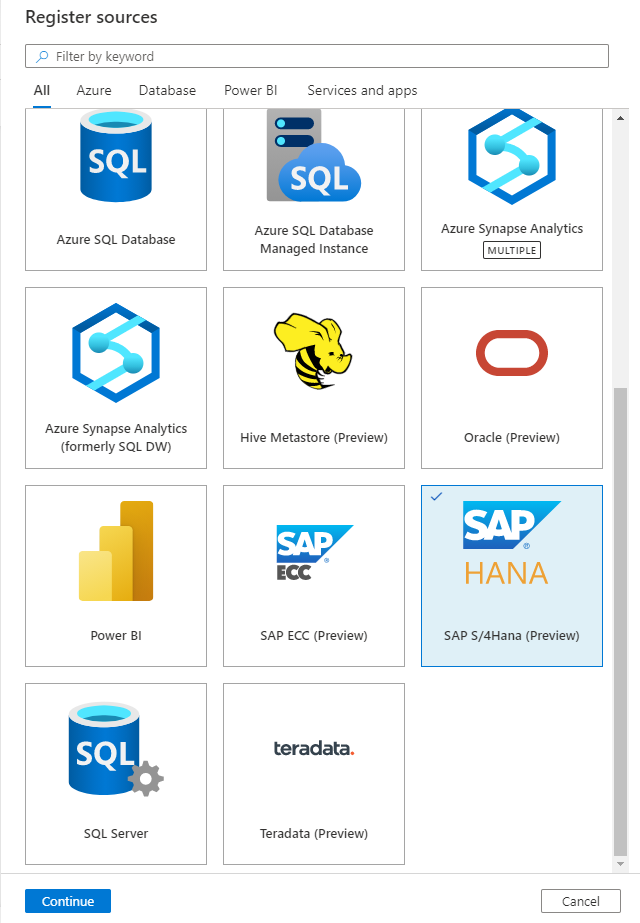 register SAPS/4Hana options