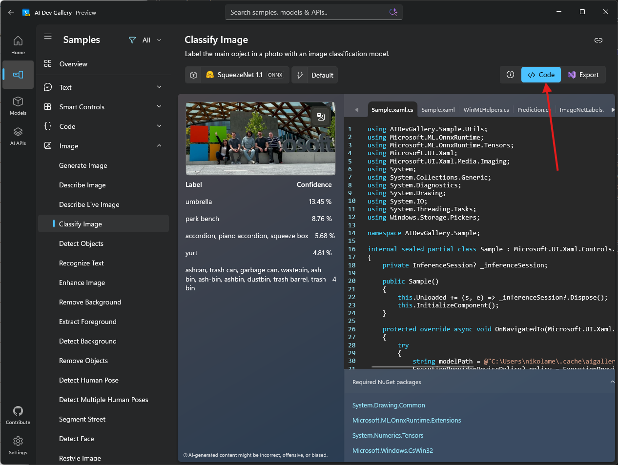 SqueezeNet Sample Code