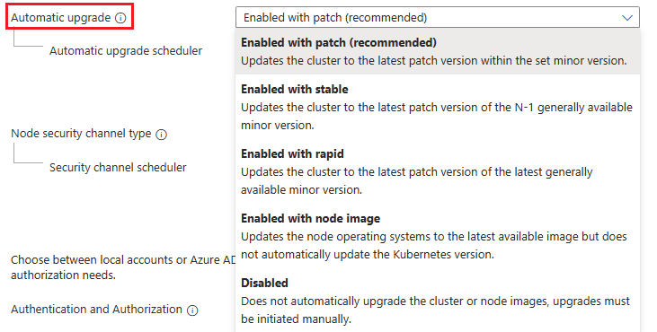 Captura de pantalla de la hoja de creación de un clúster de AKS en Azure Portal. El campo de actualización automática muestra 