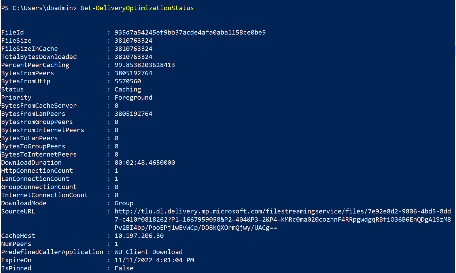 Windows 10 21H2 - Máquina 2 - Prueba avanzada.