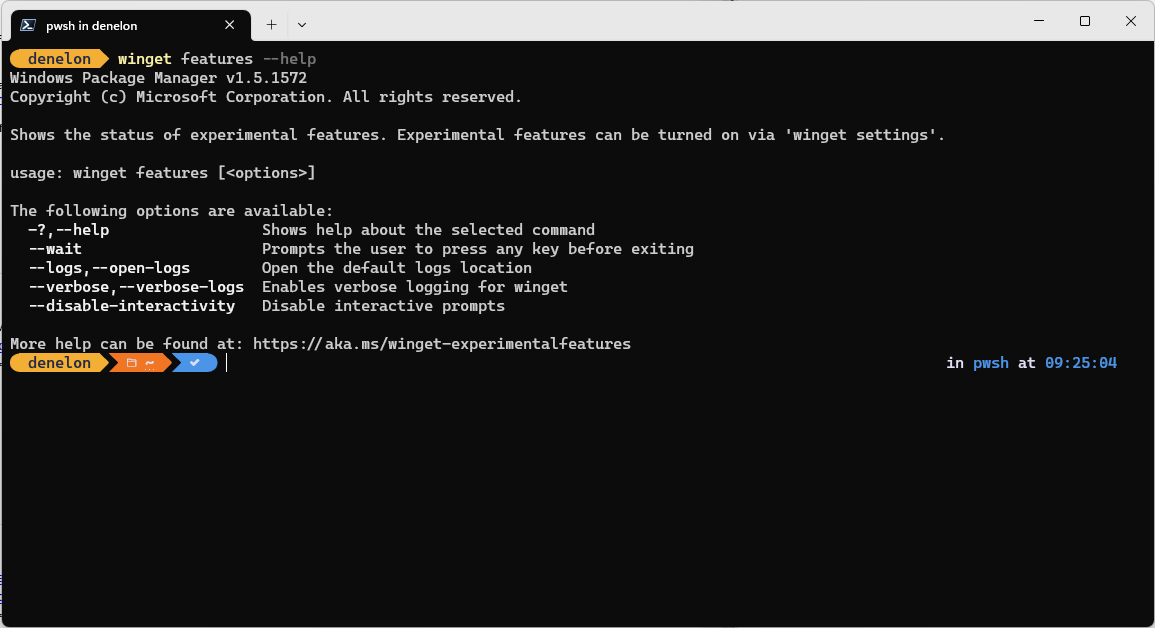 Captura de pantalla que muestra las opciones de ayuda del comando features de winget.