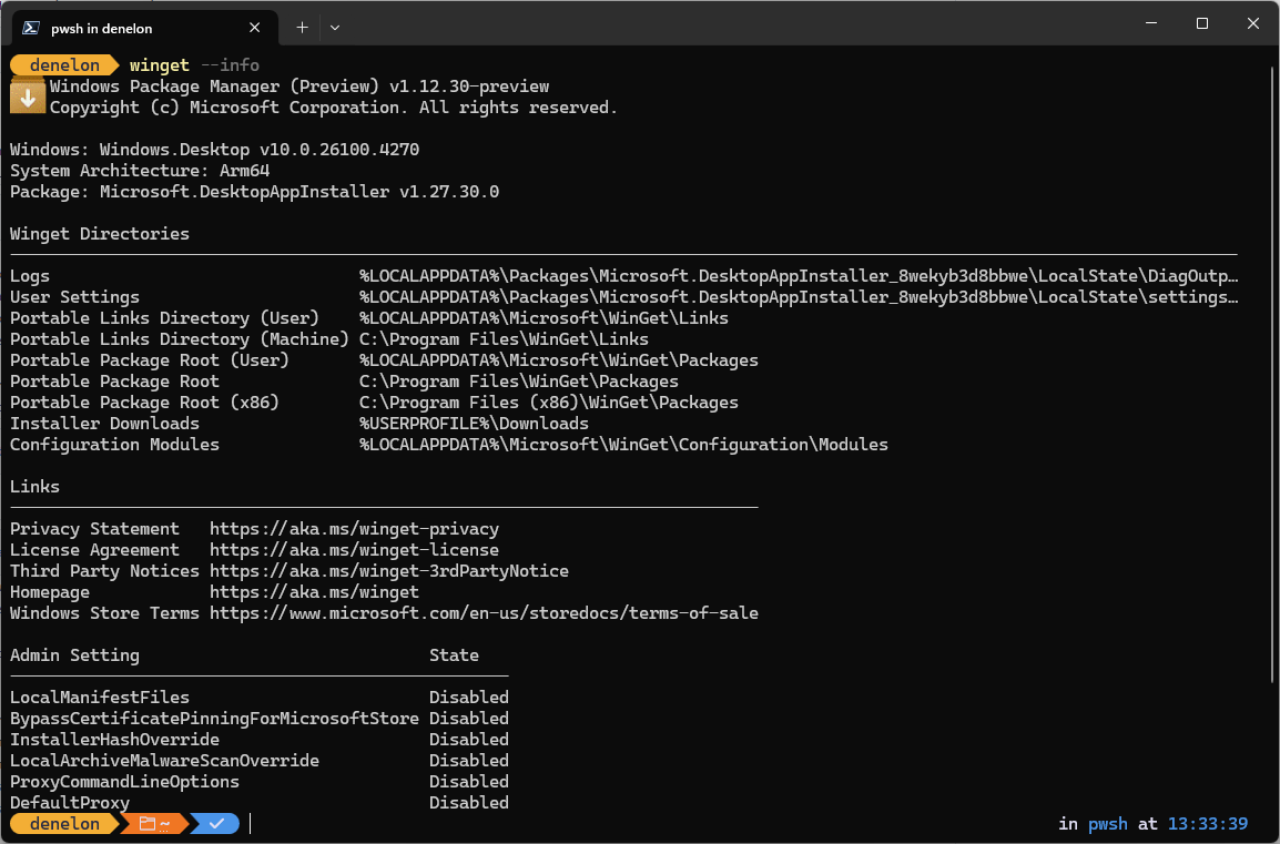 Captura de pantalla que muestra las opciones del comando winget info.