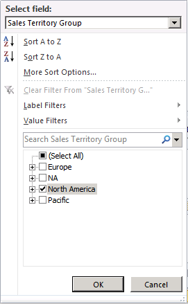 Filter pane for selecting North America Filter pane for selecting North America