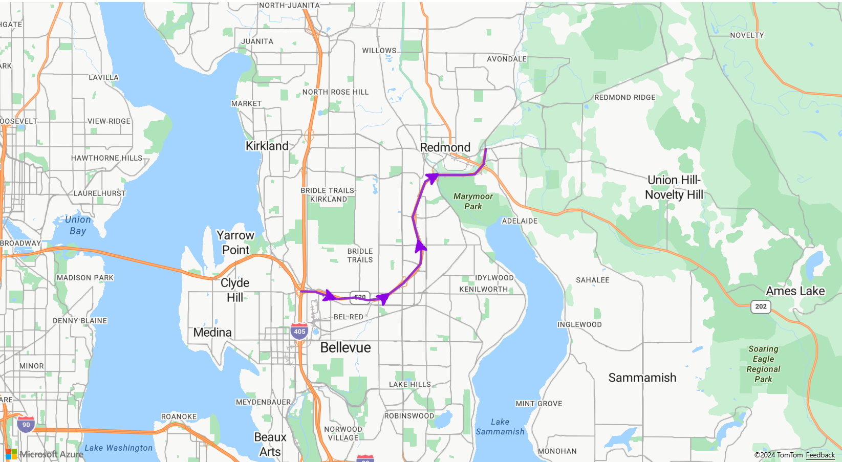 A screenshot showing a line layer on an Azure Maps map with arrow symbols along the line.