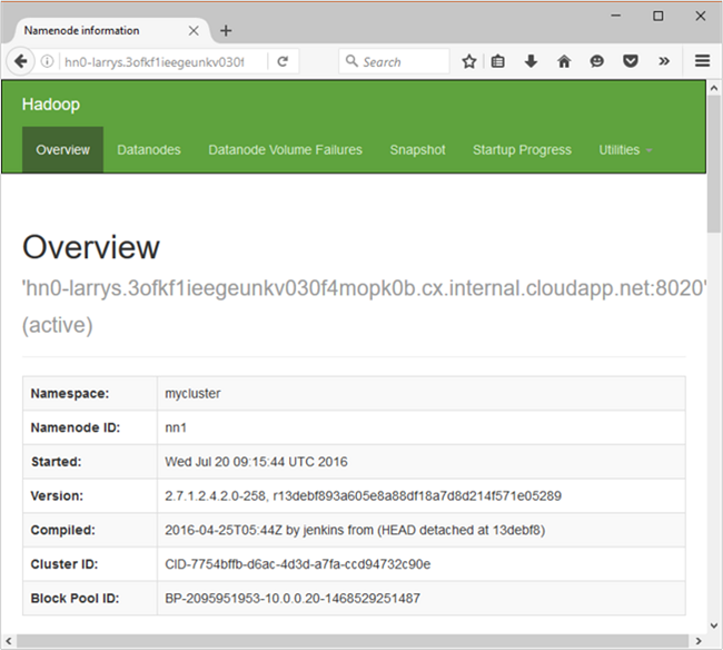 Image of the Hadoop NameNode UI.