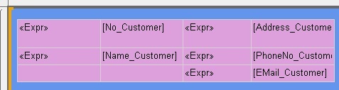 MicrosoftDynamicsNAV_CustomerData The layout containing the customer data.
