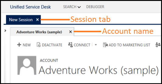 Account record displayed in a session Account record displayed in a session.