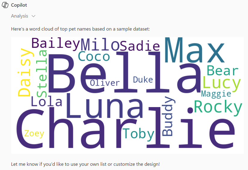 Word cloud response to the user prompt