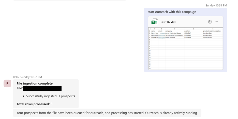 Näyttökuva kampanjan yhteenvetoraportin tiedostosta.
