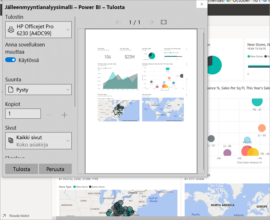 Screenshot of the Print Window open and the print options displayed.