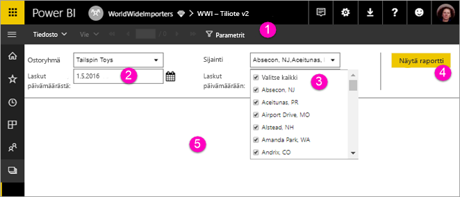 Screenshot showing View paginated report with parameters.