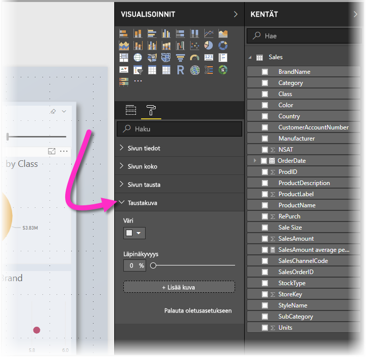 Kuvakaappaus Visualisointipaneelista, jossa korostetaan Taustakuva-vaihtoehtoa.