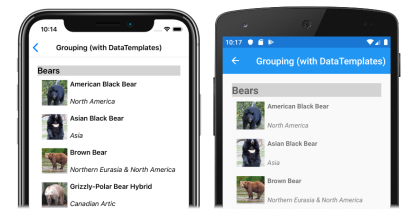 CollectionView with grouped data Screenshot of a grouped data in a CollectionView, on iOS and Android