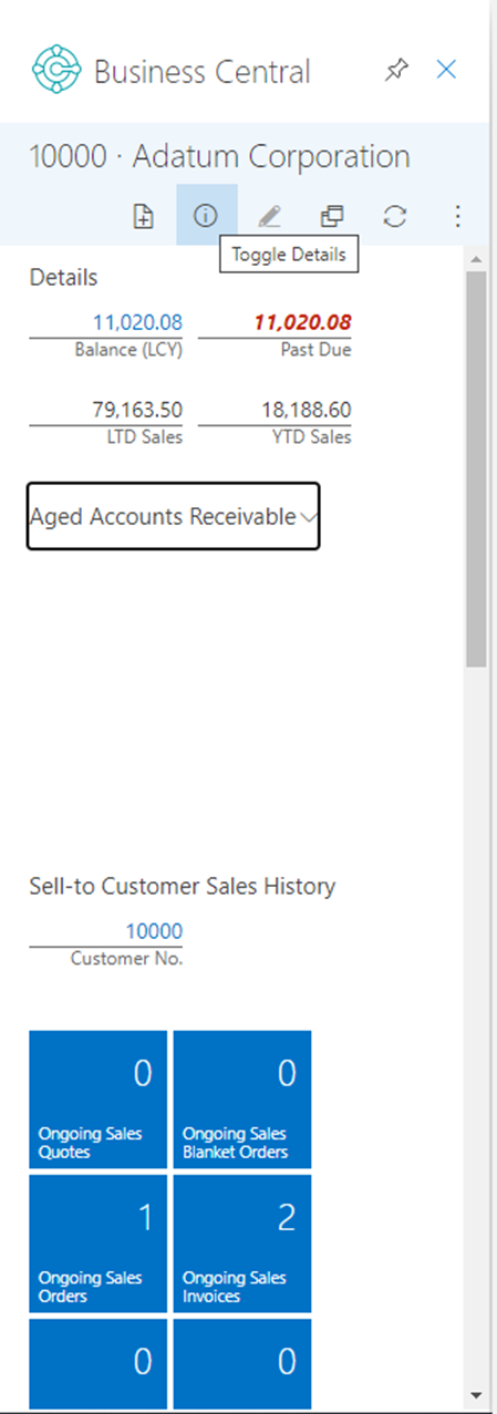 Screenshot of a customer's details in Business Central.