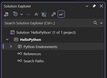 Screenshot that shows the default environment in Solution Explorer in Visual Studio.