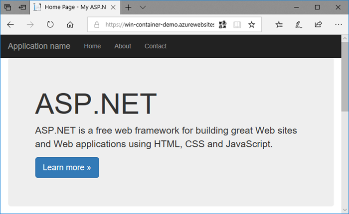 Screenshot that shows a Windows custom container running.