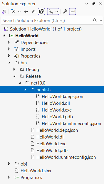 Solution Explorer showing published files