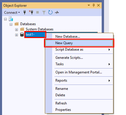 Screenshot showing how to create a New Query.