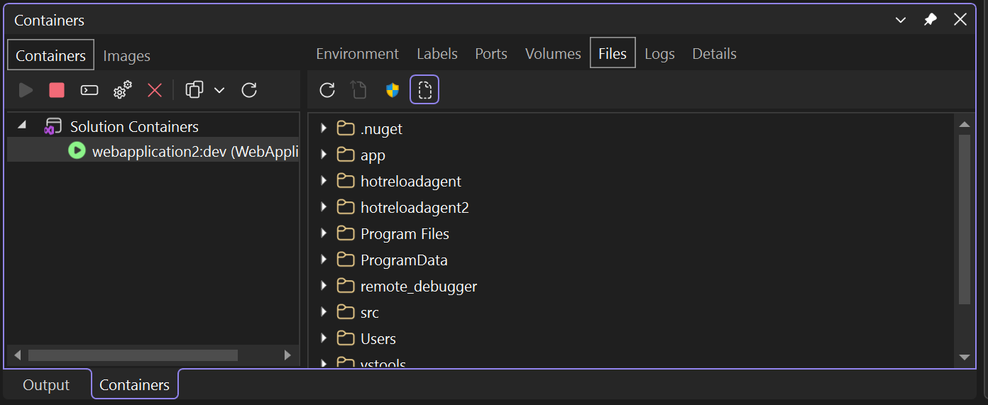 Screenshot that shows the Containers window.