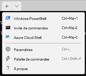 Le Windows 11, ouvrez l’application Terminal Windows pour utiliser Windows PowerShell, l’invite de commandes ou Azure Cloud Shell pour exécuter des commandes.