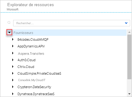 Capture d’écran de l’expansion de la section Fournisseurs dans Azure Resource Explorer.