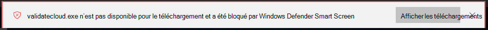 SmartScreen bloque un téléchargement non sécurisé et fournit un bouton à sélectionner pour afficher les détails de la liste **Téléchargements**.