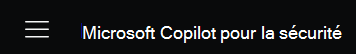 Capture d’écran montrant le menu du copilote de sécurité.